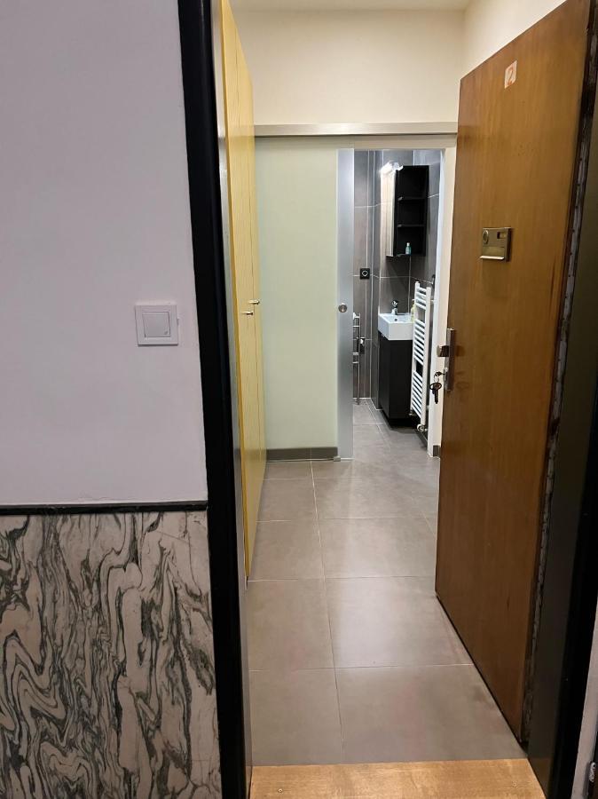 Studio Apartment In Center Брно Экстерьер фото